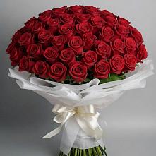 Букет 101 Красная роза Блэк Мэджик #REPLACE_PRED# Поповке