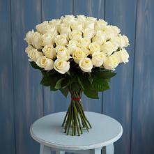 Букет 51 Белая роза Эдлесс Лав #REPLACE_PRED# Поповке