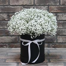 Цветочная композиция из Гипсофила в шляпной коробке в Поповке