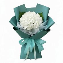 Букет цветов из:  Гортензия #REPLACE_PRED# Поповке